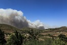 Ανεξέλεγκτη η φωτιά στα Καλύβια: Εκκενώνονται Ανάβυσσος και Παλαιά Φώκαια - «Έχουν καεί σπίτια»