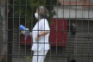 Αυξάνονται οι νεκροί του κορωνοϊού στην Ελλάδα τις τελευταίες ώρες