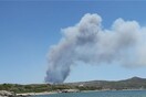Μεγάλη πυρκαγιά σε δασική έκταση στο Λαύριο - Εκτάκτως στο σημείο ο Χαρδαλιάς