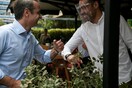 Μητσοτάκης: Στον Πειραιά για την επαναλειτουργία της εστίασης - «Αρχίζει και κινείται η αγορά»