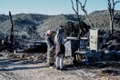 DW: Η Μόρια διχάζει κυβέρνηση και κόμματα στη Γερμανία