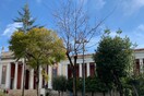 Ελεύθερη είσοδος σε μουσεία και αρχαιολογικούς χώρους αυτήν την Κυριακή