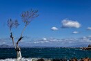Καιρός: Τοπικές βροχές και σήμερα- Βοριάδες έως 7 μποφόρ στο Αιγαίο