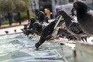 Αίθριος ο καιρός- Στα ύψη η θερμοκρασία και σήμερα