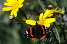 Γενικά αίθριος ο καιρός σήμερα, μικρή πτώση της θερμοκρασίας