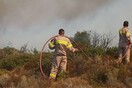 Χαλκιδική: Σε εξέλιξη πυρκαγιά σε δάσος στα Πηγαδάκια - Καίει χαμηλή βλάστηση