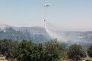 Πυρκαγιά στην Κάρυστο - Ισχυρές πυροσβεστικές δυνάμεις στο σημείο