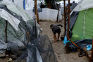 Παρέμβαση - κόλαφος από 17 οργανώσεις για τους πρόσφυγες στην Ελλάδα
