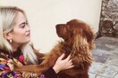 10 νέες φωτογραφίες απ' τα τέλεια ζώα των αναγνωστών μας #282