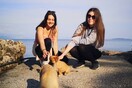 10 νέες φωτογραφίες απ' τα τέλεια ζώα των αναγνωστών μας #302