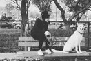 10 νέες φωτογραφίες απ' τα τέλεια ζώα των αναγνωστών μας #175