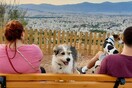10 νέες φωτογραφίες απ' τα τέλεια ζώα των αναγνωστών μας #106
