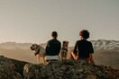 10 νέες φωτογραφίες απ' τα τέλεια ζώα των αναγνωστών μας #249