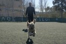 10 νέες φωτογραφίες απ' τα τέλεια ζώα των αναγνωστών μας #217