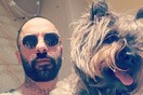 10 νέες φωτογραφίες απ' τα τέλεια ζώα των αναγνωστών μας #274