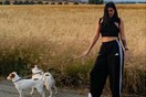 10 νέες φωτογραφίες απ' τα τέλεια ζώα των αναγνωστών μας #316