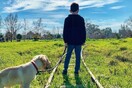 10 νέες φωτογραφίες απ' τα τέλεια ζώα των αναγνωστών μας #225