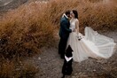 10 νέες φωτογραφίες απ' τα τέλεια ζώα των αναγνωστών μας #158
