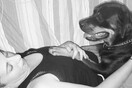 10 νέες φωτογραφίες απ' τα τέλεια ζώα των αναγνωστών μας #383