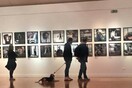 10 νέες φωτογραφίες απ' τα τέλεια ζώα των αναγνωστών μας #180