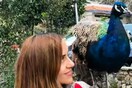 10 νέες φωτογραφίες απ' τα τέλεια ζώα των αναγνωστών μας #191