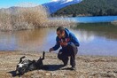 10 νέες φωτογραφίες απ' τα τέλεια ζώα των αναγνωστών μας #246