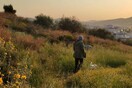 10 νέες φωτογραφίες απ' τα τέλεια ζώα των αναγνωστών μας #289