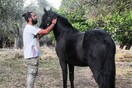 10 νέες φωτογραφίες απ' τα τέλεια ζώα των αναγνωστών μας #155