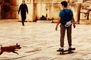 10 νέες φωτογραφίες απ' τα τέλεια ζώα των αναγνωστών μας #309