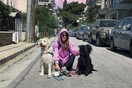 10 νέες φωτογραφίες απ' τα τέλεια ζώα των αναγνωστών μας #278