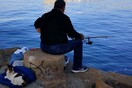 10 νέες φωτογραφίες απ' τα τέλεια ζώα των αναγνωστών μας #254