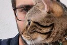 10 νέες φωτογραφίες απ' τα τέλεια ζώα των αναγνωστών μας #392