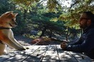 10 νέες φωτογραφίες απ' τα τέλεια ζώα των αναγνωστών μας #149