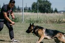 10 νέες φωτογραφίες απ' τα τέλεια ζώα των αναγνωστών μας #355