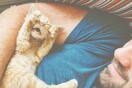 10 νέες φωτογραφίες απ' τα τέλεια ζώα των αναγνωστών μας #360