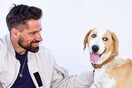 10 νέες φωτογραφίες απ' τα τέλεια ζώα των αναγνωστών μας #314