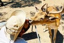 10 νέες φωτογραφίες απ' τα τέλεια ζώα των αναγνωστών μας #375