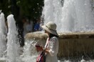 Καλλιάνος: Έρχεται ήπιος καύσωνας από την Τρίτη- Η θερμοκρασία τις επόμενες ημέρες
