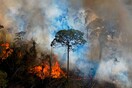 Ο Αμαζόνιος σε σημείο καμπής: Το τροπικό δάσος κινδυνεύει να μετατραπεί σε σαβάνα