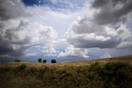 Καιρός: Πού θα βρέξει - Άνεμοι έως 7 μποφόρ στο Αιγαίο