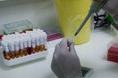 Κορωνοϊός στην Ελλάδα: 267 κρούσματα το τελευταίο 24ωρο - 7 θάνατοι