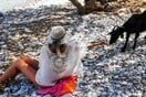 10 νέες φωτογραφίες απ' τα τέλεια ζώα των αναγνωστών μας #445