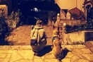 10 νέες φωτογραφίες απ' τα τέλεια ζώα των αναγνωστών μας #520