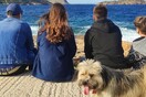 10 νέες φωτογραφίες απ' τα τέλεια ζώα των αναγνωστών μας #439