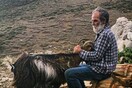 10 νέες φωτογραφίες απ' τα τέλεια ζώα των αναγνωστών μας #484