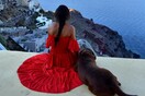10 νέες φωτογραφίες απ' τα τέλεια ζώα των αναγνωστών μας #449