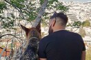 10 νέες φωτογραφίες απ' τα τέλεια ζώα των αναγνωστών μας #466