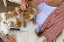 10 νέες φωτογραφίες απ' τα τέλεια ζώα των αναγνωστών μας #479