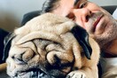 10 νέες φωτογραφίες απ' τα τέλεια ζώα των αναγνωστών μας #462