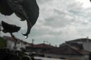 Αρναούτογλου: Χαλάει ο καιρός την επόμενη εβδομάδα -Βροχές και ισχυροί άνεμοι